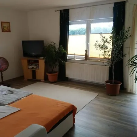 Apartment In Nahe City *